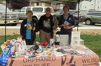 OWL ORPHANED WILDLIFE 
