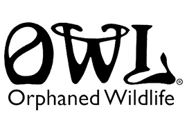 OWL Orphaned Wildlife