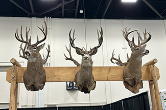 ALBERTA HUNTER EDUCATION INSTRUCTORS' ASSOCIATION