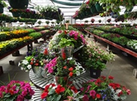 Garden Centers