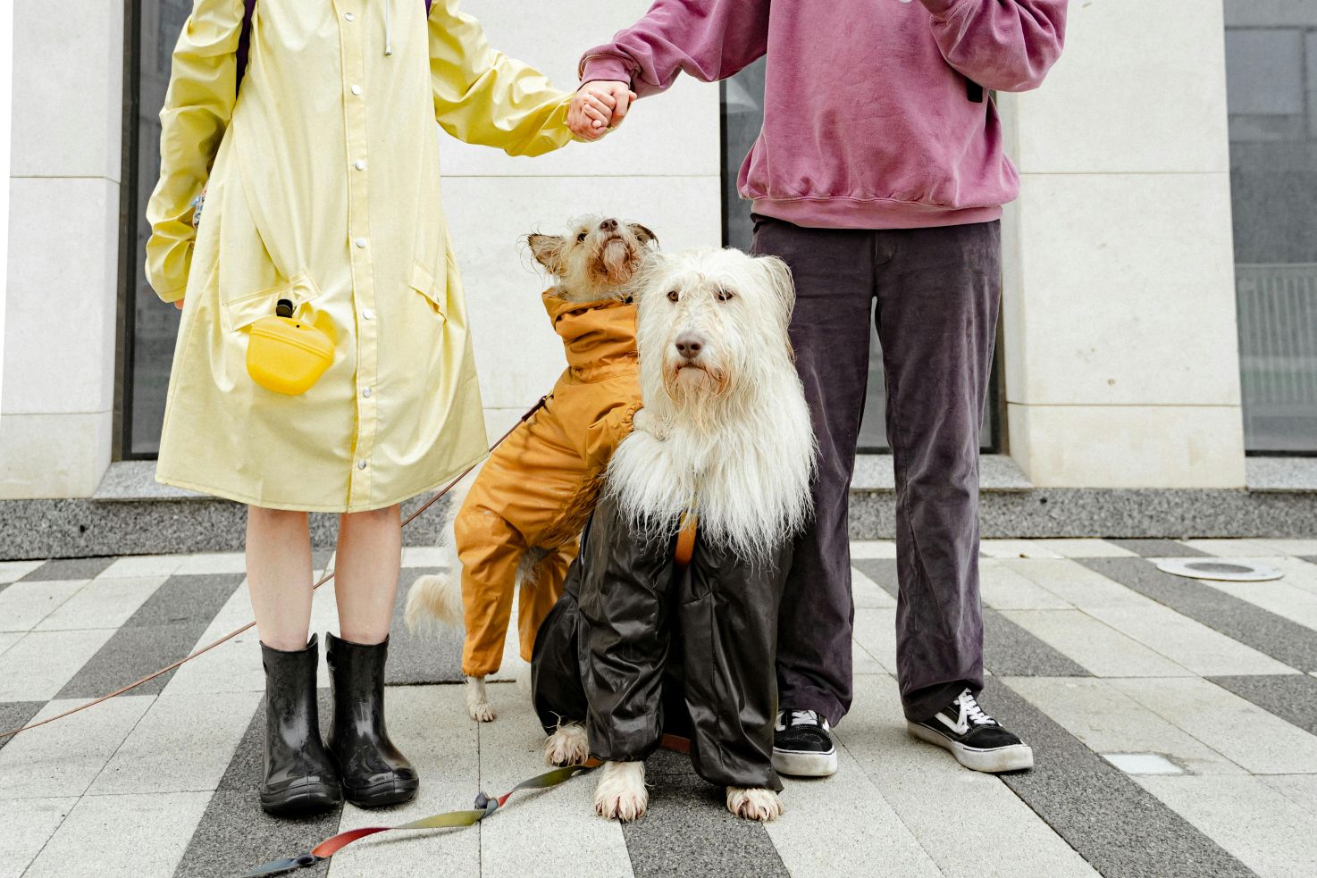 Coat Check for A Cause