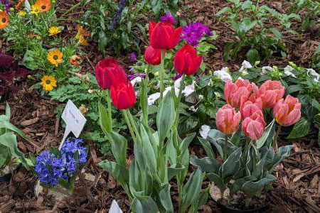 Feature Gardens Feature Gardens