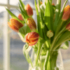 BLOG THUMBNAIL