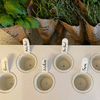 Images of labelled cups for Click N Grow Smart Garden with fresh herbs on white counter