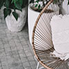 Patio Chair and Outdoor Plants