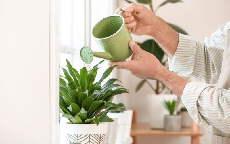 older caucasian woman wearing white long sleeved rolled up button up shirt watering a window sill plant with a small green watering can