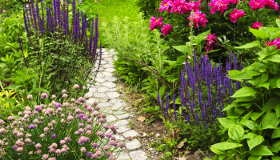 Backyard Landscaping - Smart Upgrades for a Thrifty Backyard Renovation - Budget-Friendly Tips for Outdoor Bliss