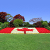 grass Canada flag grass Canada flag