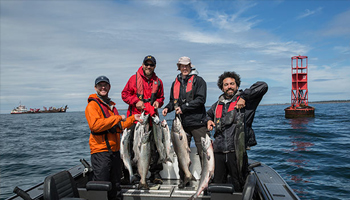 More Salmon In August A group of men in a boat holding fish