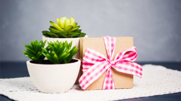 Plants and Gift Box