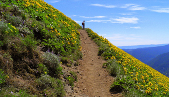 Spring Into The Outdoors A person outdoors on a hiking trail