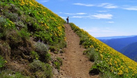 Spring Into The Outdoors