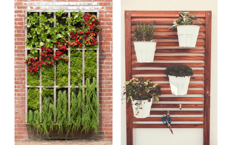 Two exterior examples of vertical gardens, one planted directly into the wall and one with hanging pots
