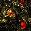 Christmas-thumb
