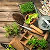 Garden Tools - Thumbnail