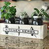 Kitchen-Herbs-Thumbnail