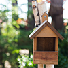 birdhouse in tree