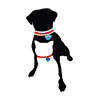 Pet Care Thumbnail Pet Care Thumbnail