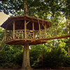 Treehouse-Thumbnail