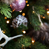 XmasTree