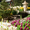 garden thumbnail