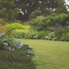 large lawn with a flower garden