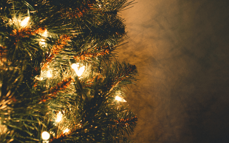 Close up of white lights on a real Christmas tree against a dark brown background