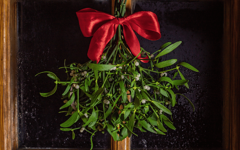 DIY mistletoe with red bow hanging in doorway