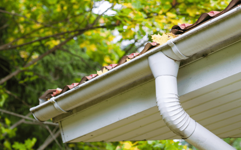 eavestrough full of fallen leaves