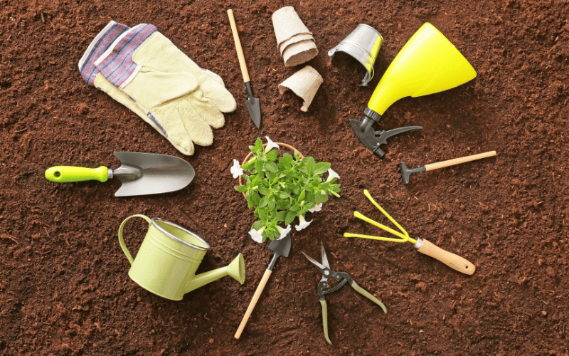 Light yellow and green garden tools laid out in a circle around a houseplant on the some soil