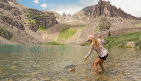 It's Trout Time