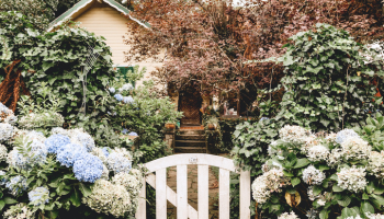 little white old garden gate surrounded by hyacinths cottage core vibe