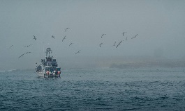Mental health for Commercial Fishermen - Blog Main Image