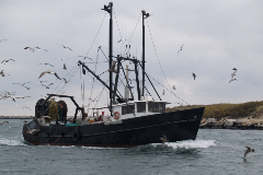 nfld heritage 1