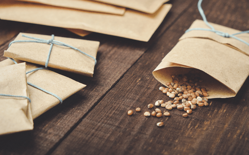 Mini brown envelopes of seeds spilling onto a dark wooden table