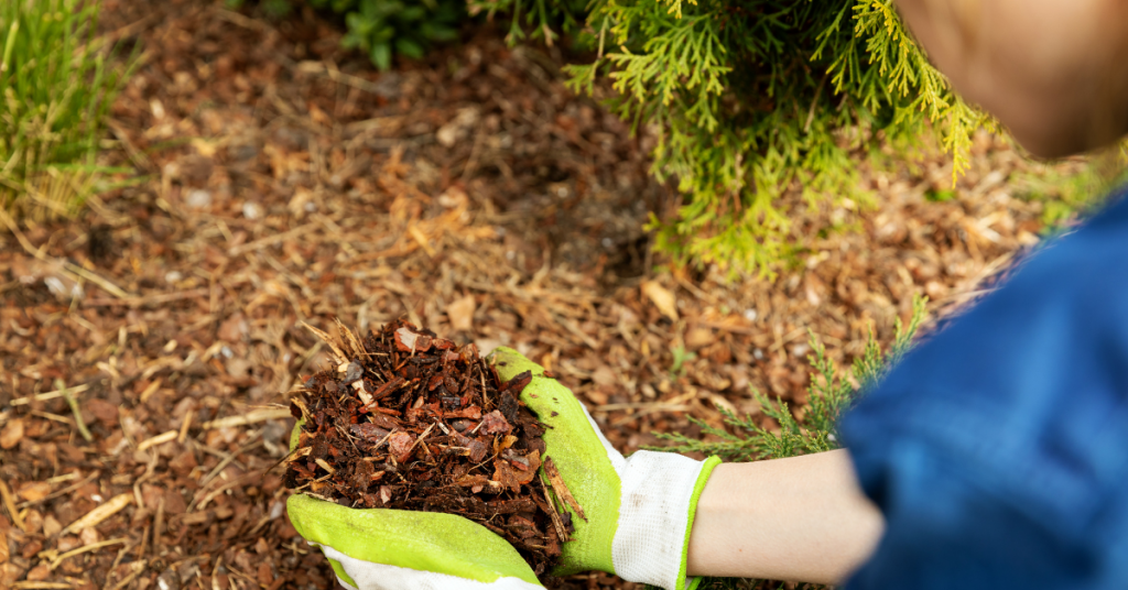 Halifax-Fall-Home-Show-Blog-pics-Mulch-1-1024x536