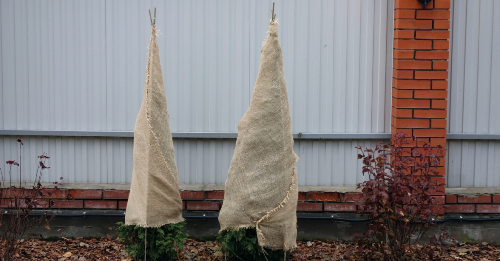 Halifax-Fall-Home-Shpw-Blog-Pic-Protect-Trees-1-1024x536