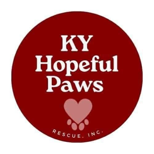 Pet Fashion Show by KY's Hopeful Paws Rescue