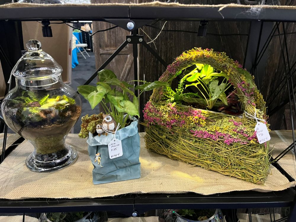 Build Your Own Plant Terrarium
