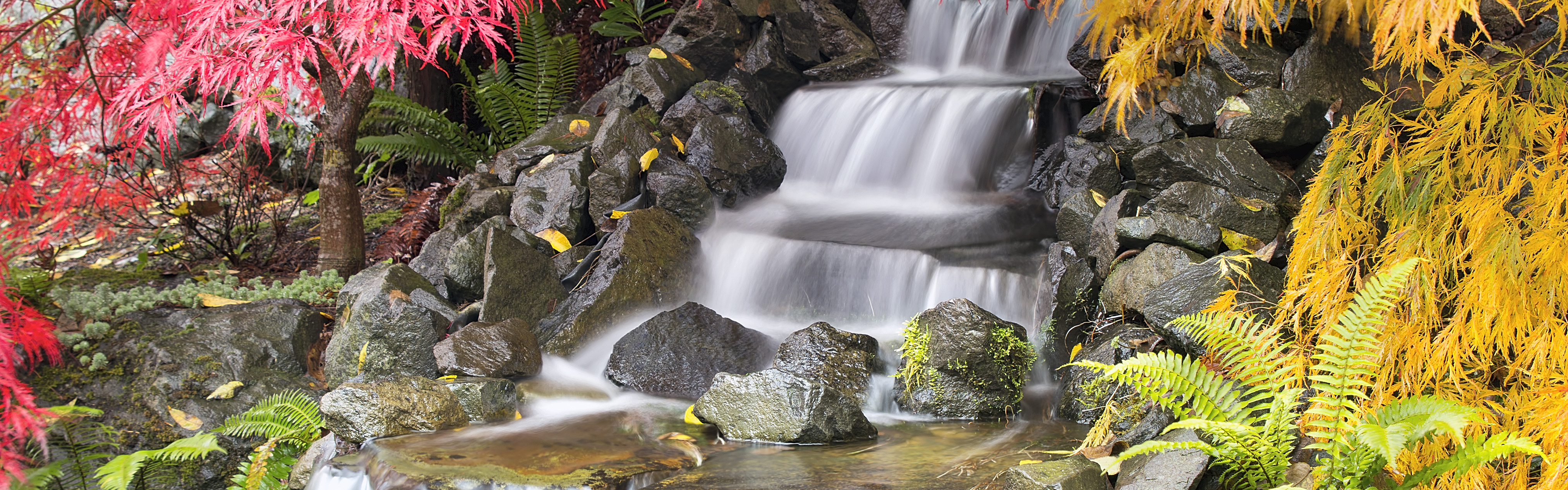 Design Waterfall with maples PS crop