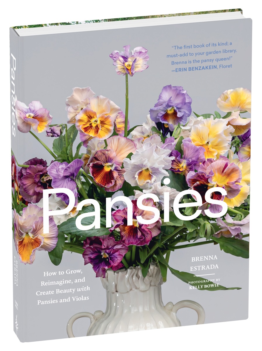 Brenna Estrada - Pansies