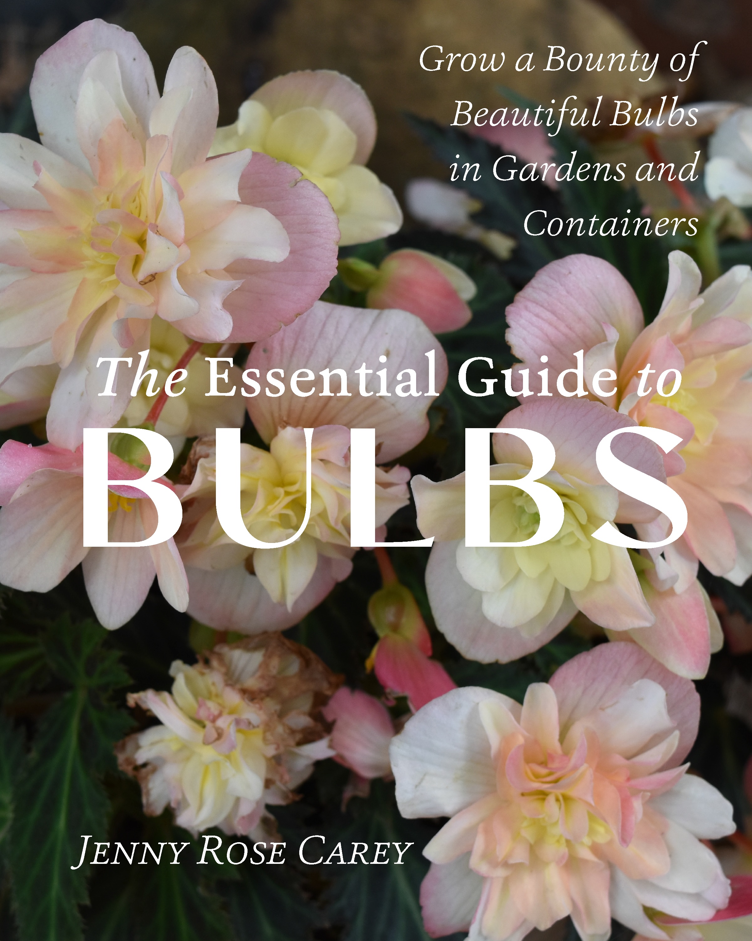 Jennifer Rose Carey - The Essential Guide to Bulbs