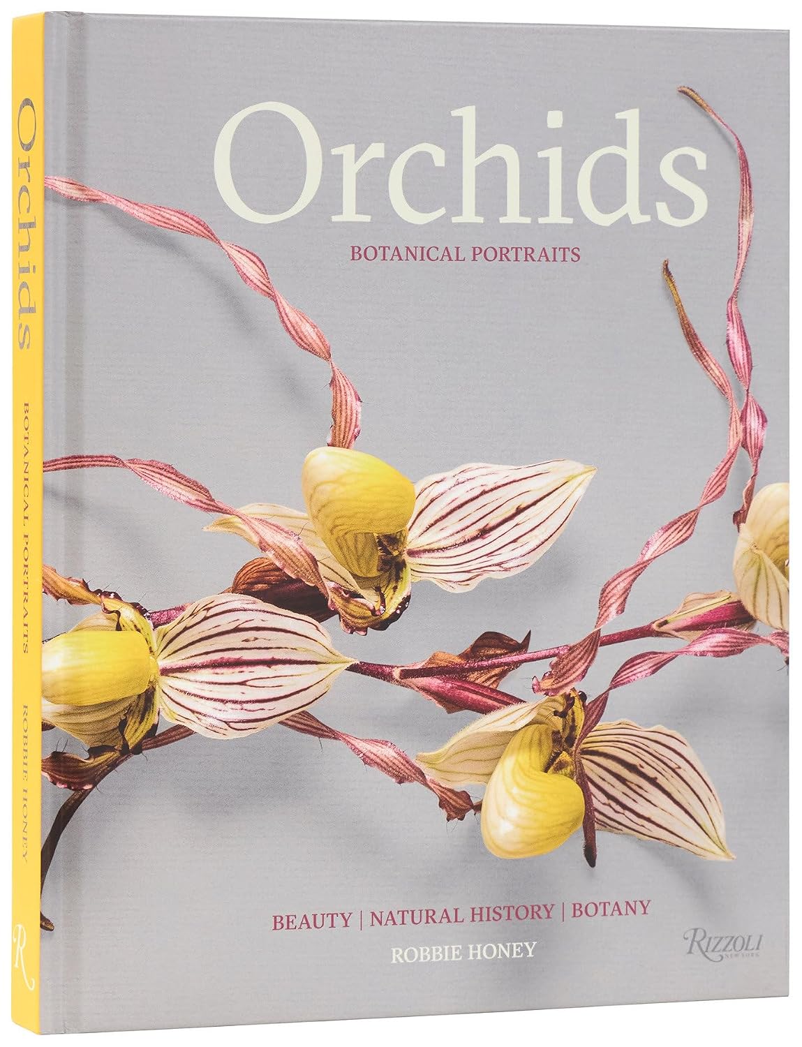 Robbie-Honey_Orchids-Botanical-Portraits