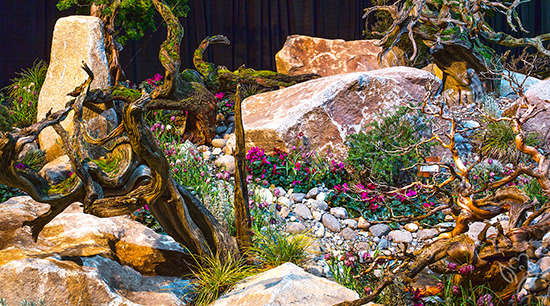 Capturing High Desert Beauty