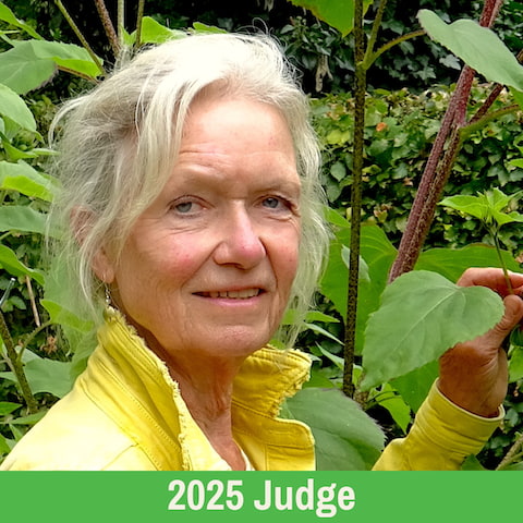 Jacqueline van er Kloet