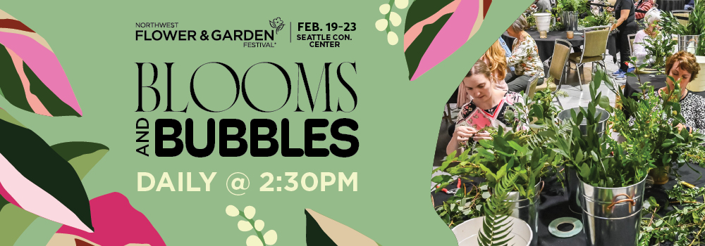 Blooms & Bubbles