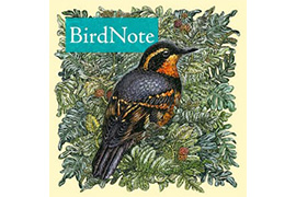 Birdnote Birdnote