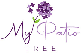 My Patio Tree