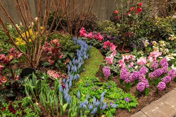 Flower Growers
