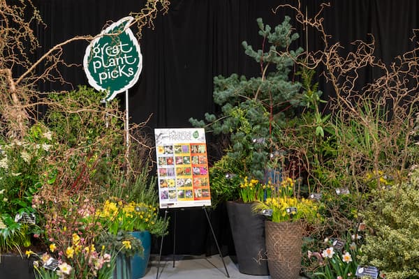 Great Plant Picks